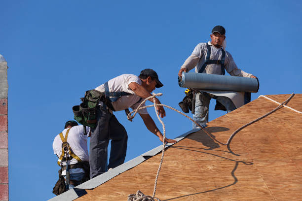 Best Commercial Roof Installation  in Morrison, IL
