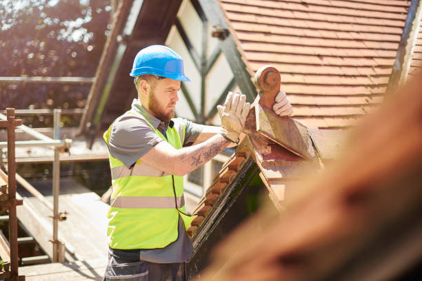 Best Roof Leak Repair  in Morrison, IL